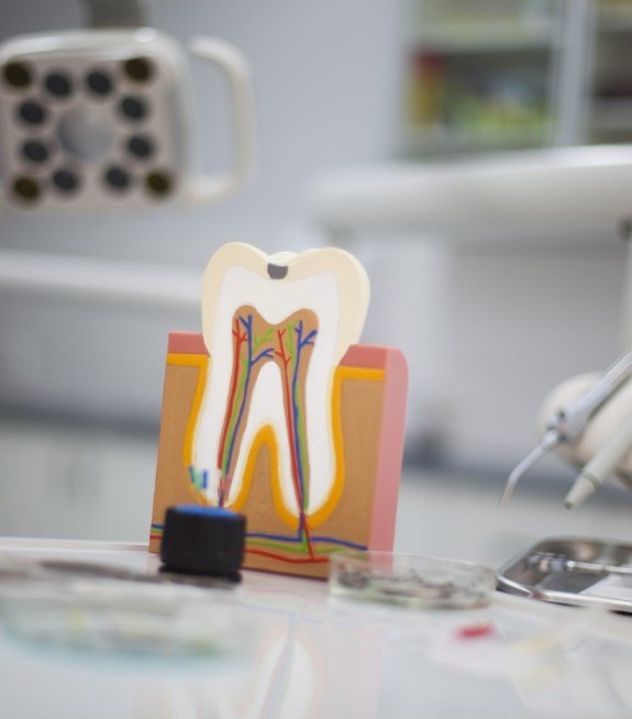 Model of a tooth on a table